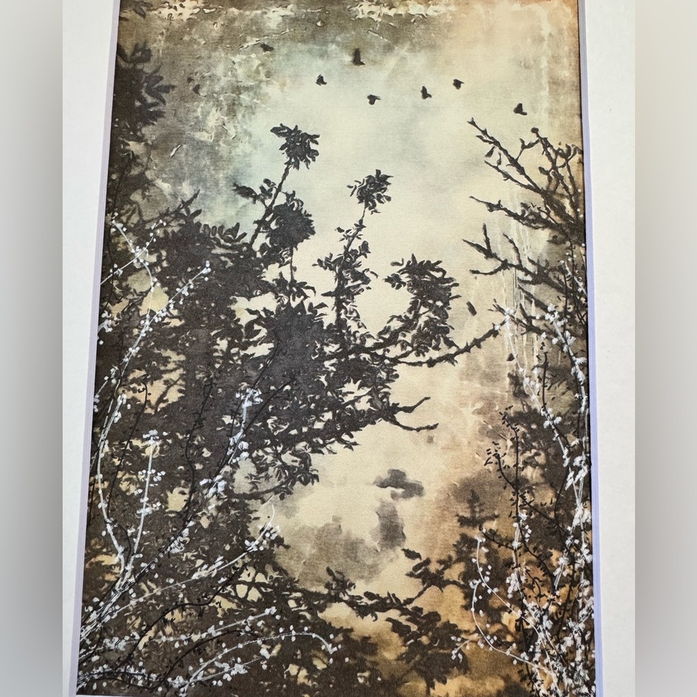 New Original Signed Photography Landscape - Picture 2 of 4